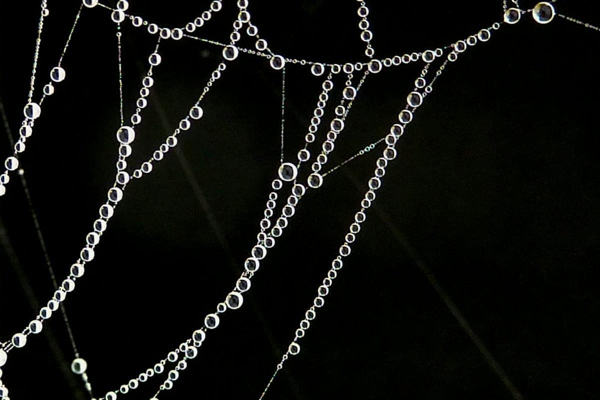 Digital PR for SEO: How to Earn High-Authority Backlinks