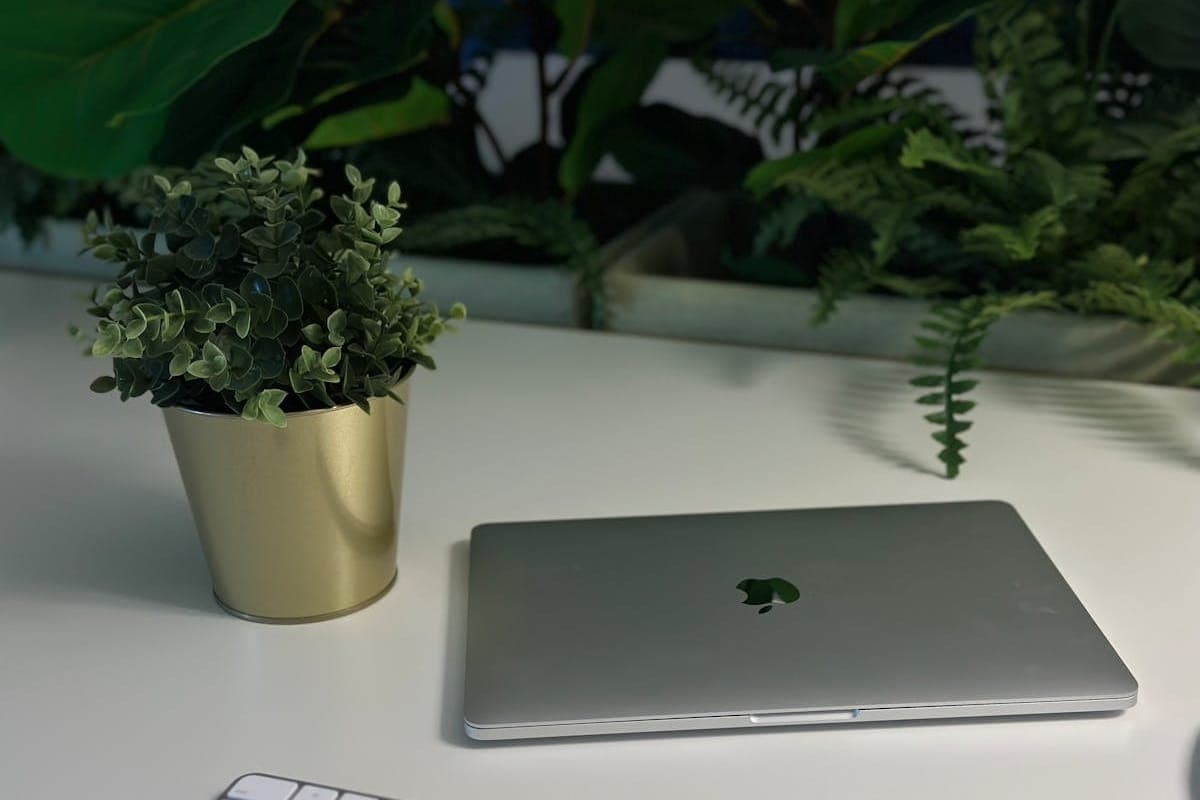 Google's March 2025 Core Update: Everything You Need To Know