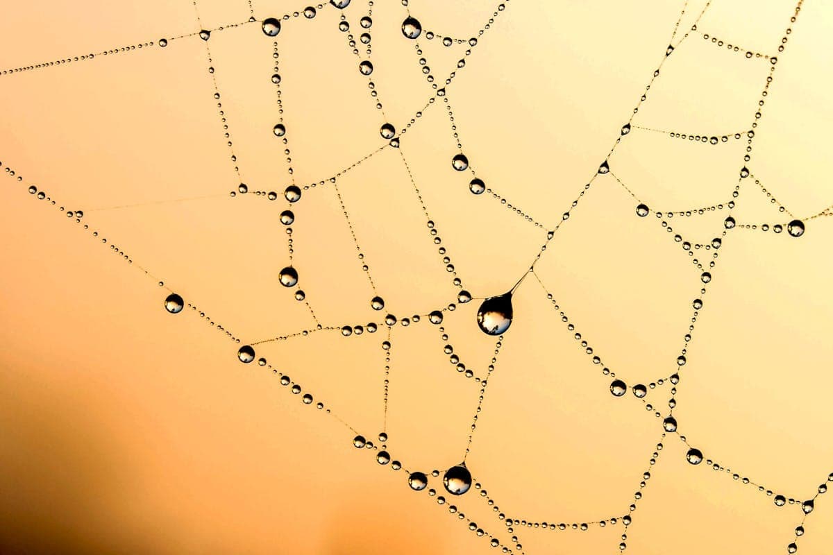 Link Building Strategies That Actually Work in 2026