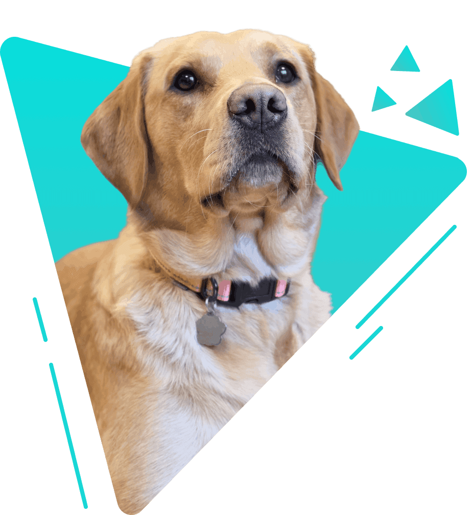 Stella, Barketing Manager at Dynamically