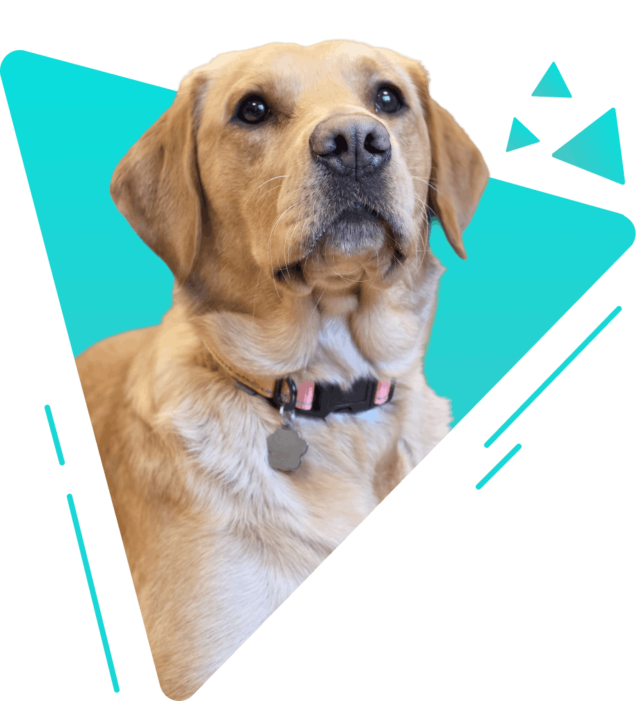 Stella — Barketing Manager at Dynamically